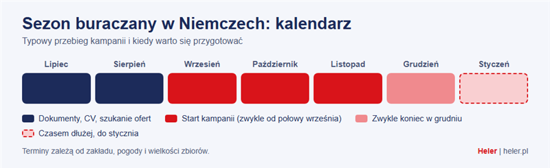 Kampania buraczana w Niemczech: praca kierowcy wywrotki, zarobki i terminy 1 Kalendarz sezonu buraczanego w Niemczech od lipca do stycznia